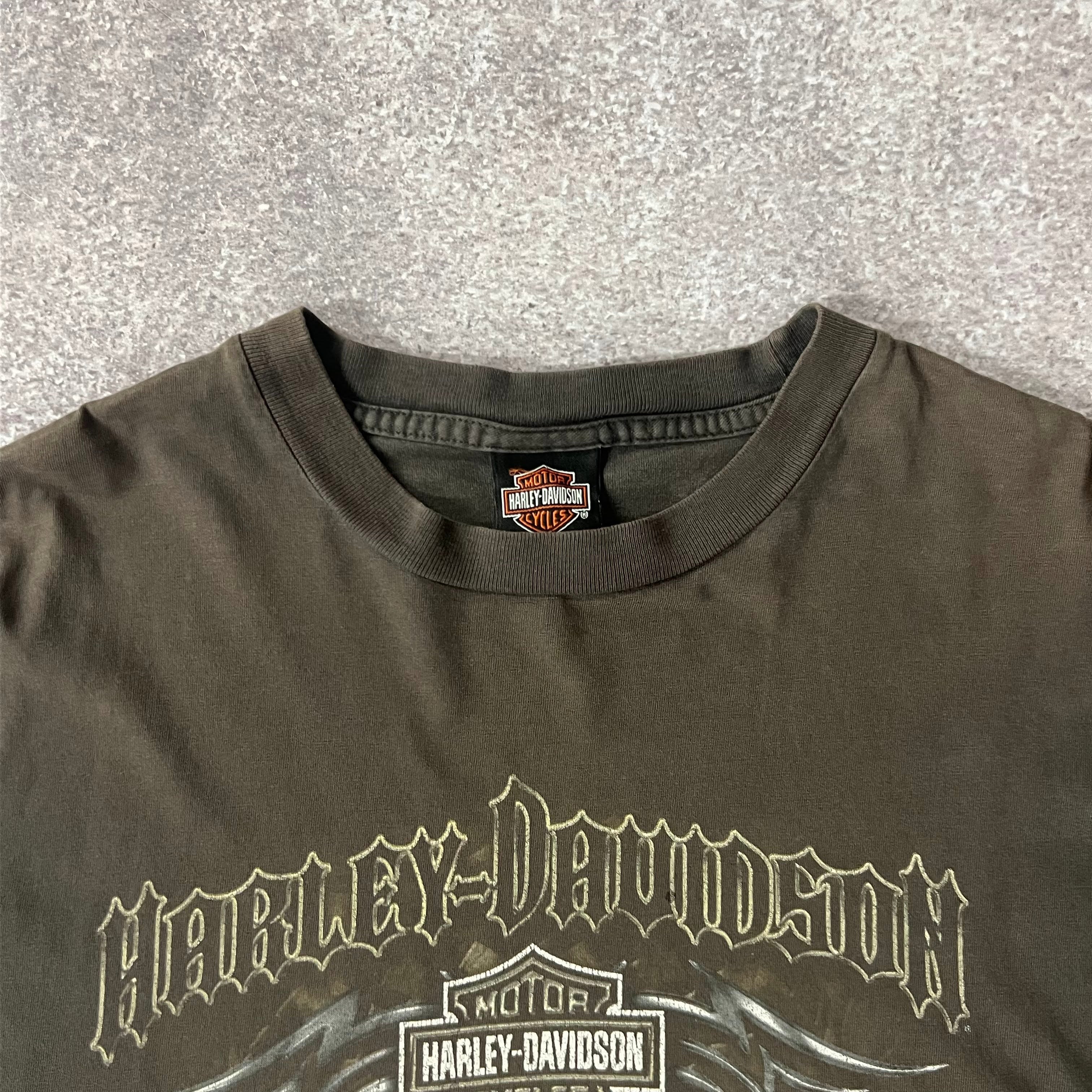 Y2K Harley Davidson Lincoln, Nebraska Brown Sun Faded Tee XL