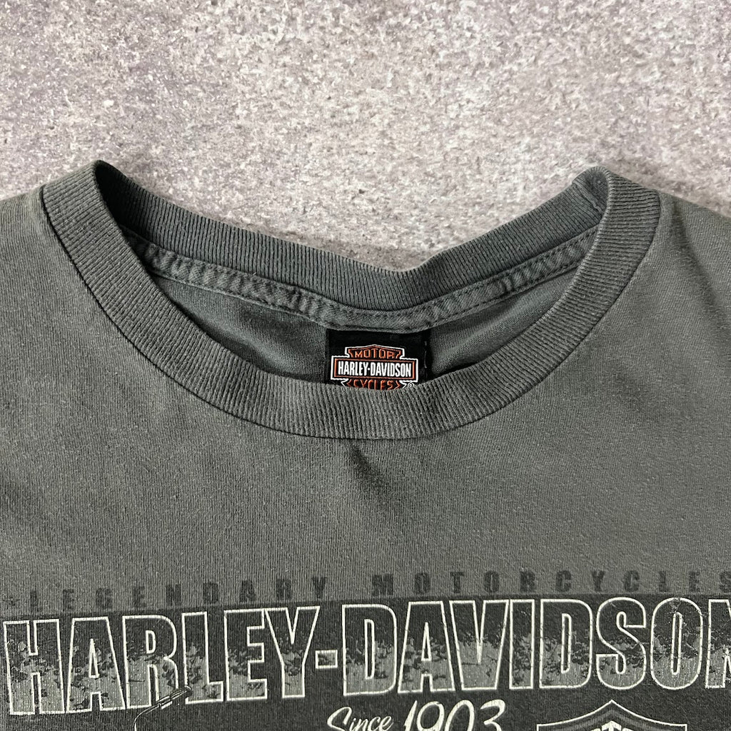 2010s Harley Davidson Knoxville Gray Worn In Tee XL