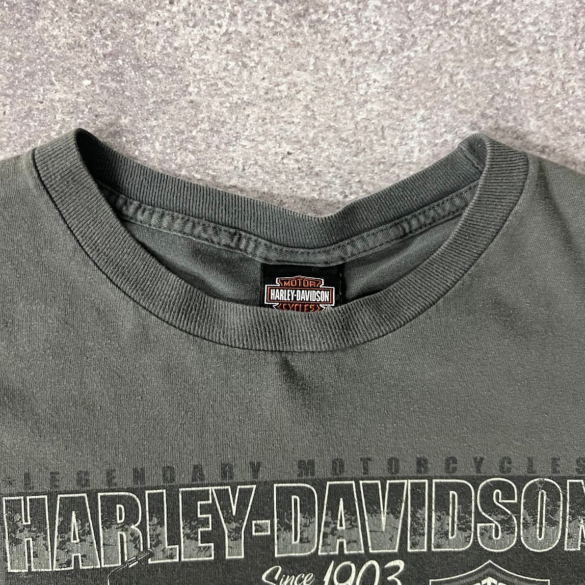 2010s Harley Davidson Knoxville Gray Worn In Tee XL