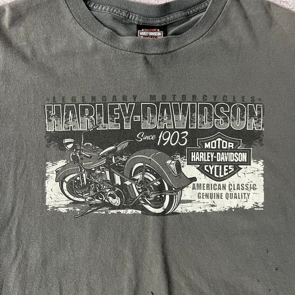 2010s Harley Davidson Knoxville Gray Worn In Tee XL