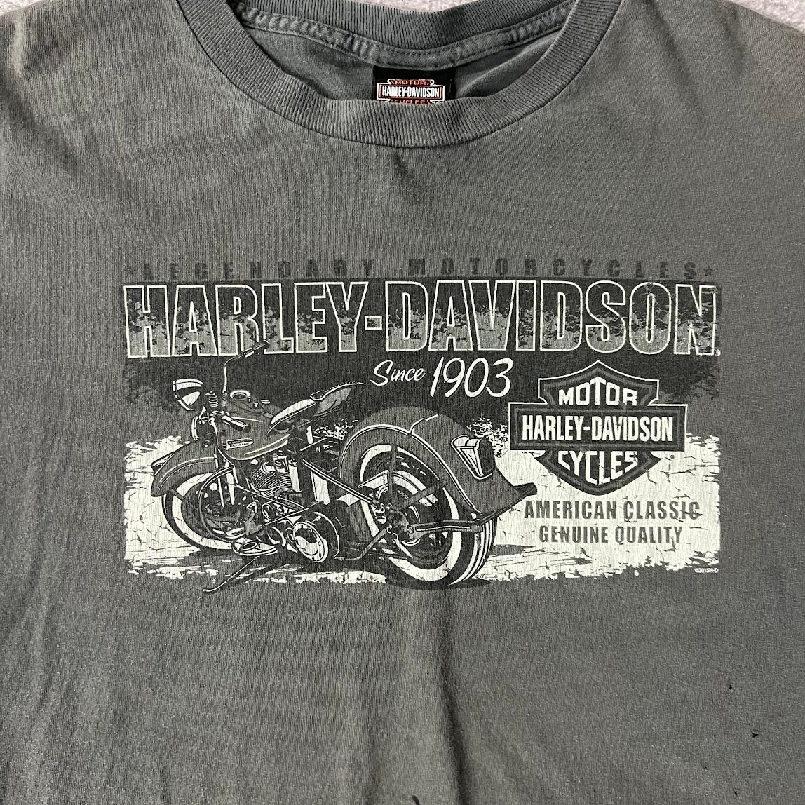 2010s Harley Davidson Knoxville Gray Worn In Tee XL