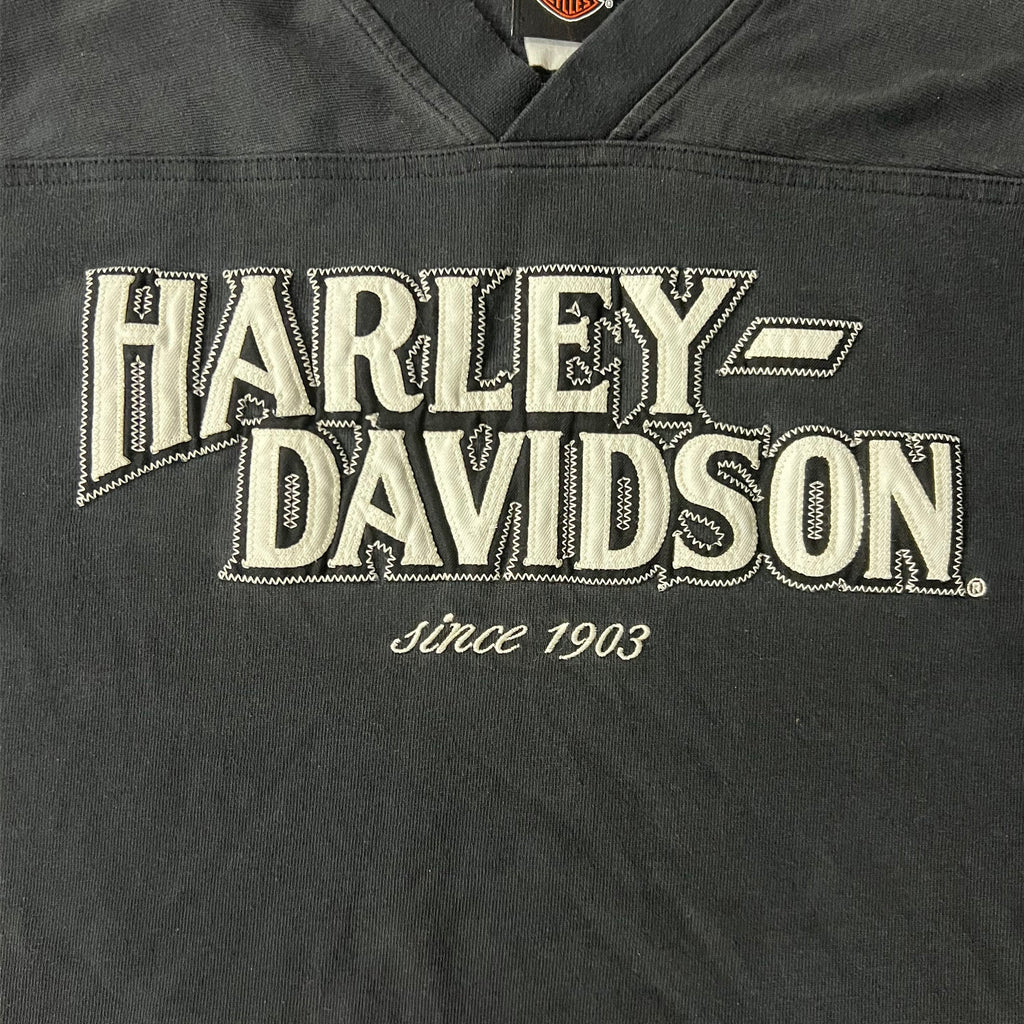 Y2K Harley Davidson Delaware Embroidered Long Sleeve Tee XL