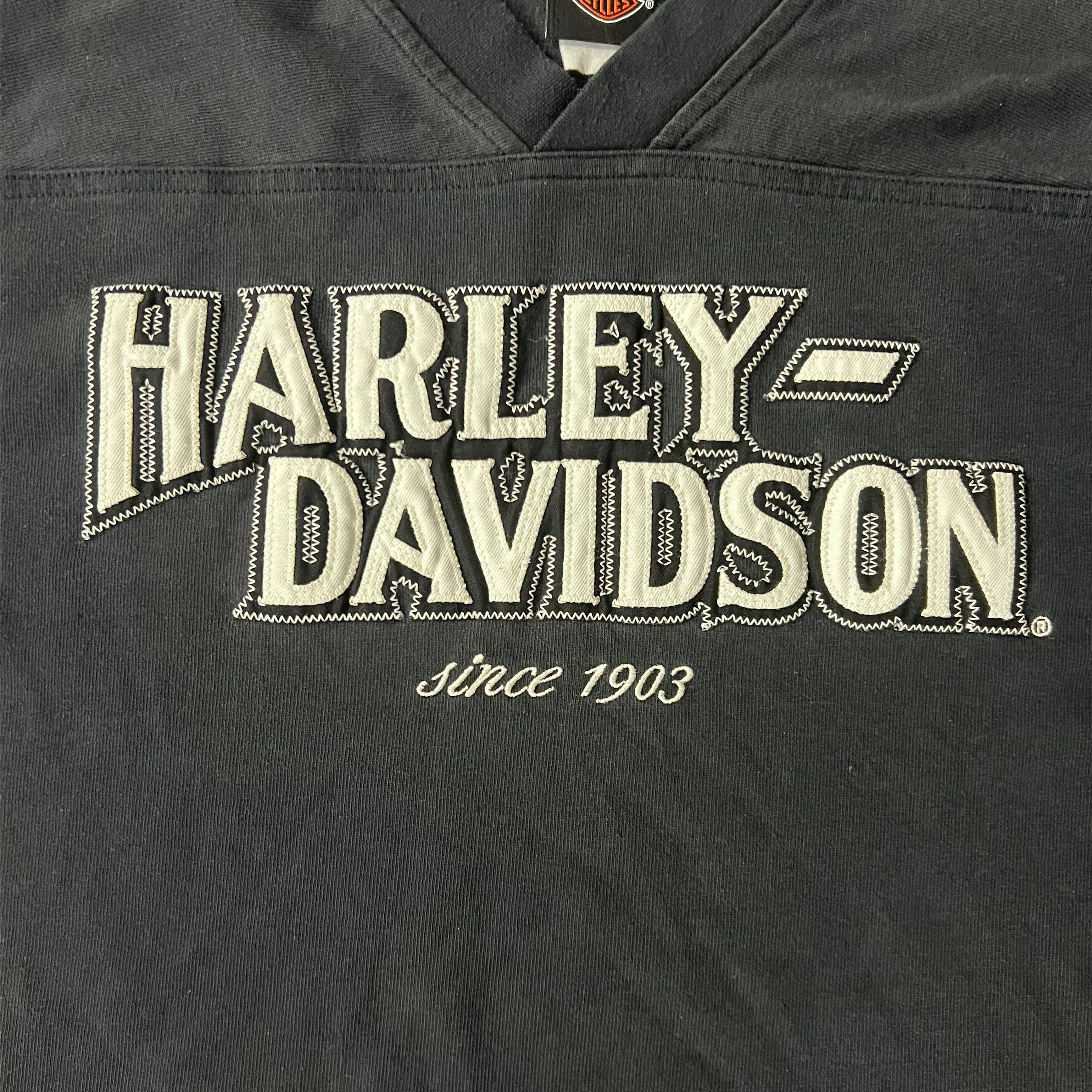 Y2K Harley Davidson Delaware Embroidered Long Sleeve Tee XL