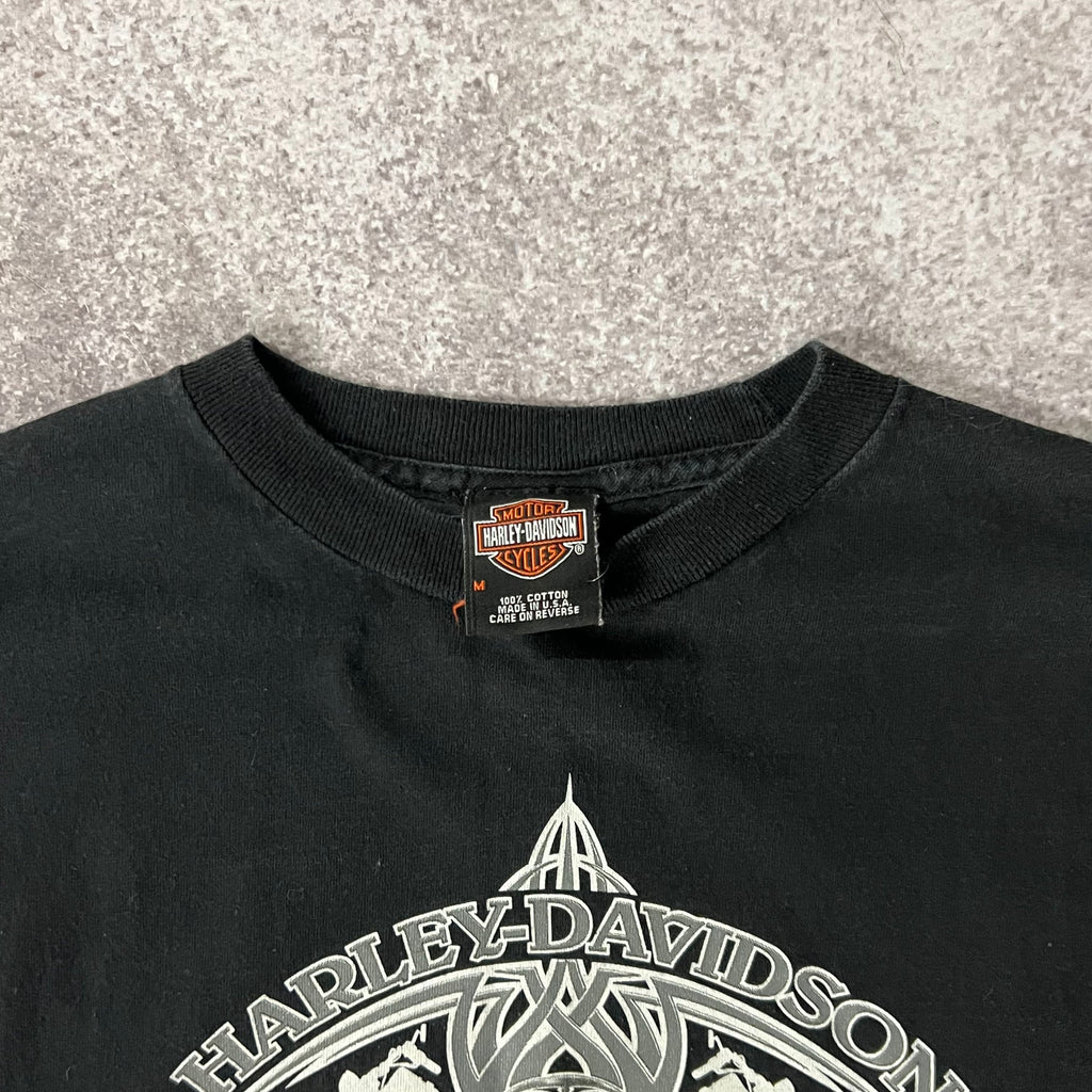 Y2K Harley Davidson Berlin, Germany Worn In Long Sleeve Tee M