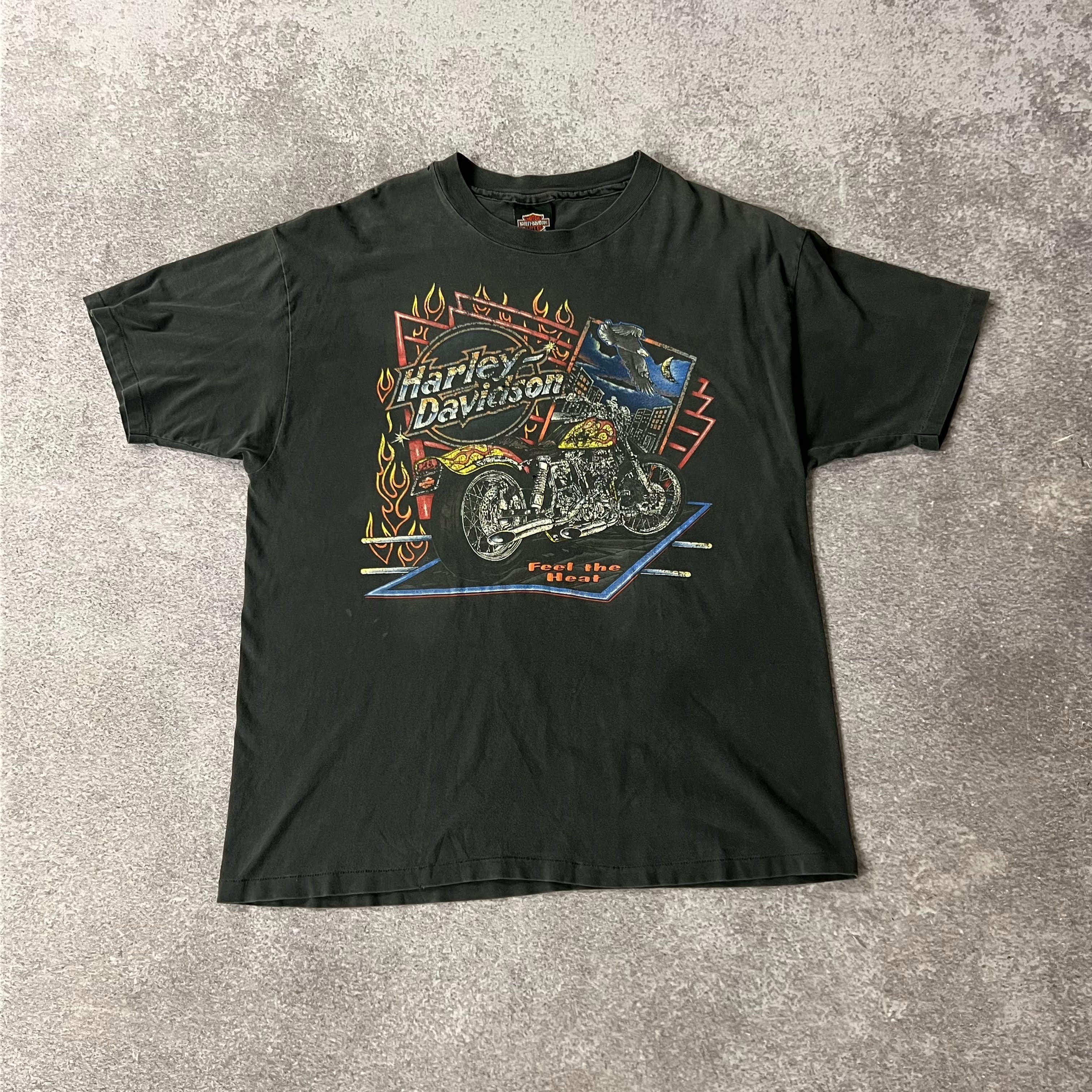 Y2K Harley Davidson Distressed Sun Faded Tee L