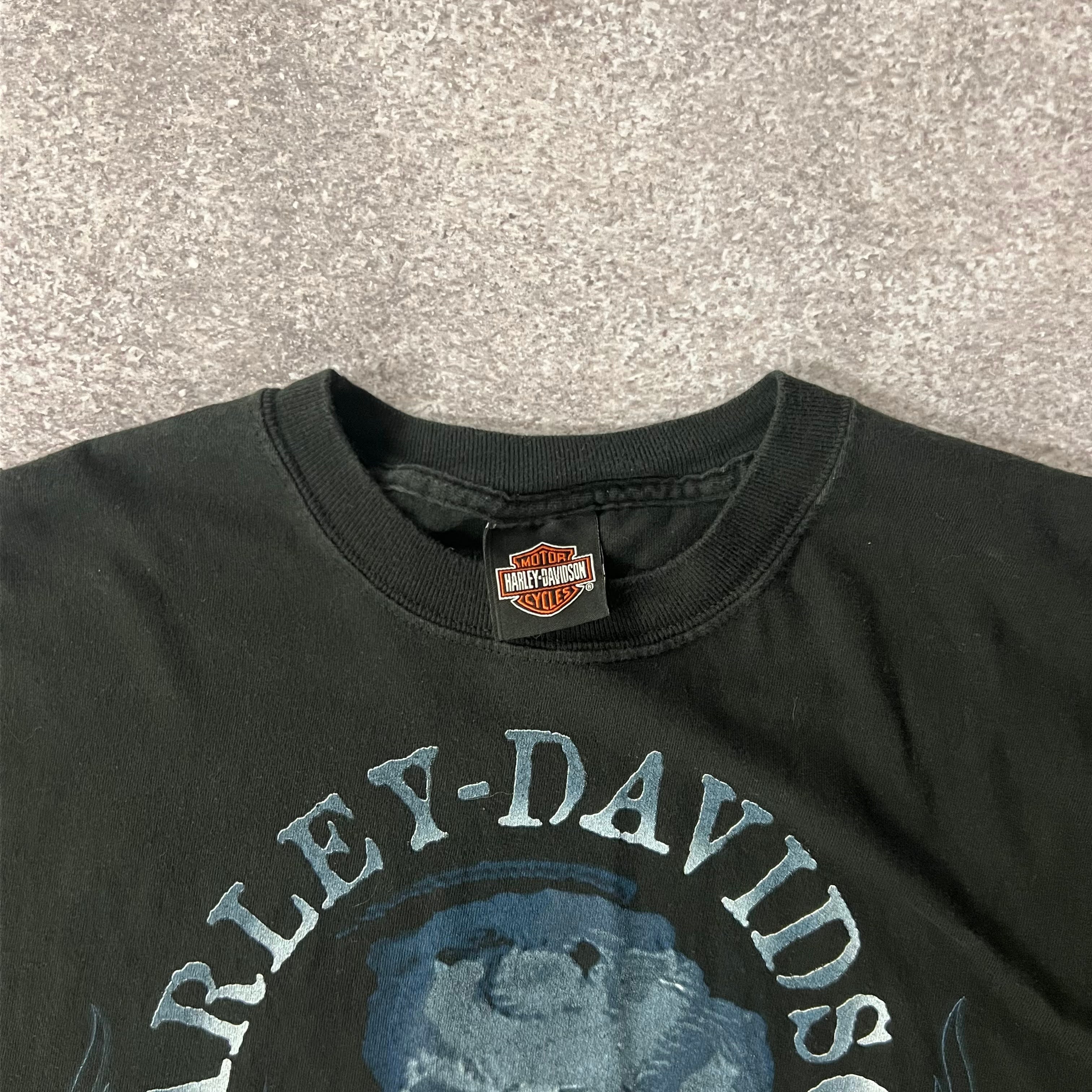 Y2K Harley Davidson Barre, Vermont Back Graphic Tee L