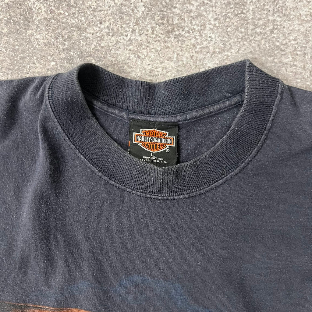 90s Harley Davidson Ljubljana, Slovenija Blue Worn In Tee L