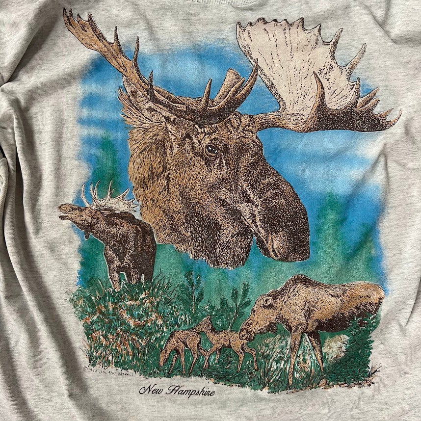 90s New Hampshire Fruit of the Loom Single Stitch Vintage Outdoor Tee L
