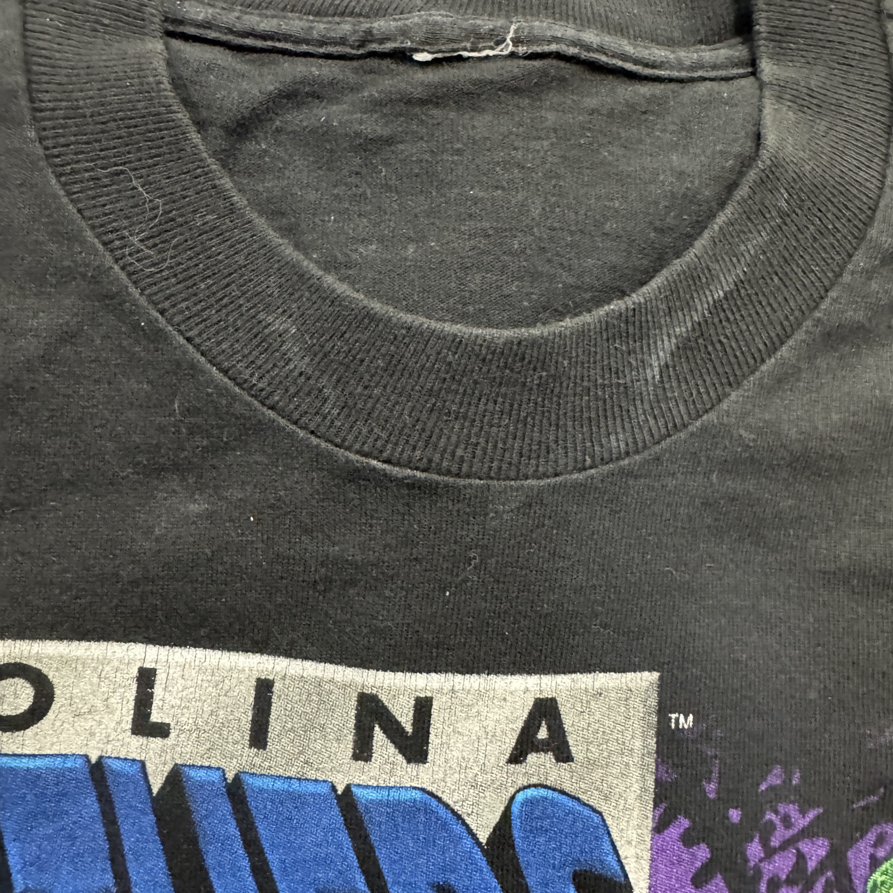90s Carolina Panthers Salem Sportswear Single Stitch Tee XL