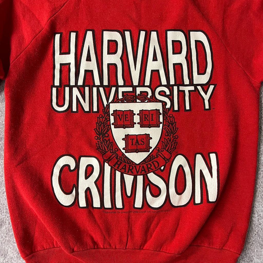 80s Fruit of the Loom College Big Logo Crewneck L