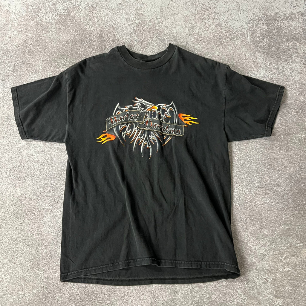 Y2K Harley Davidson Barre, Vermont Worn In Tee L