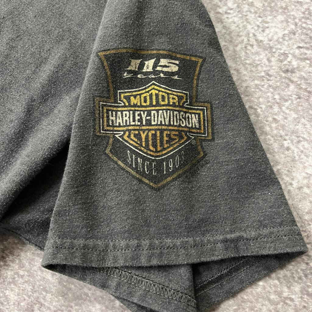 2010s Harley Davidson Keene NH Gray Distressed Tee XL