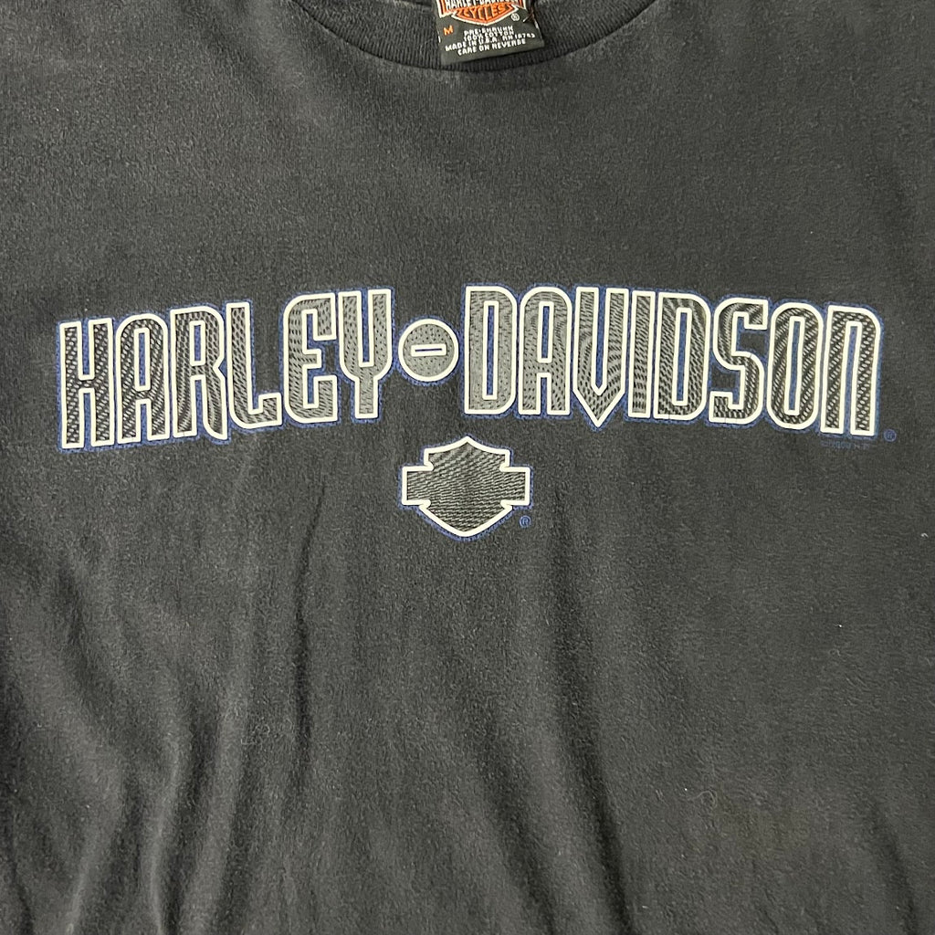 Y2K Harley Davidson Chattanooga Worn In Long Sleeve Tee M