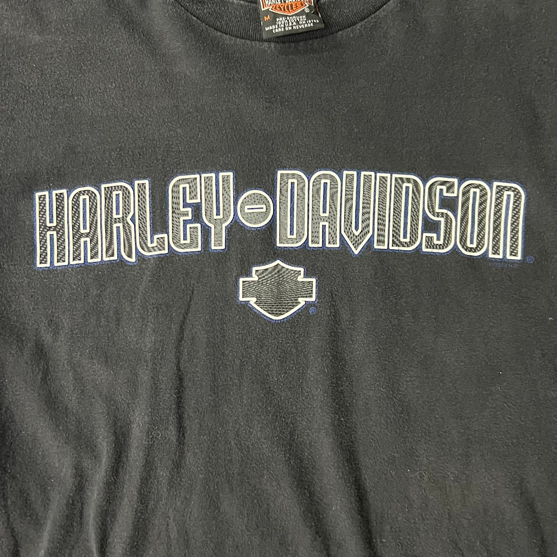 Y2K Harley Davidson Chattanooga Worn In Long Sleeve Tee M