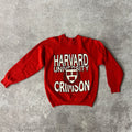 80s Fruit of the Loom College Big Logo Crewneck L