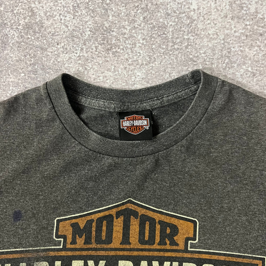 2010s Harley Davidson Concord, North Carolina Gray Worn In Tee L